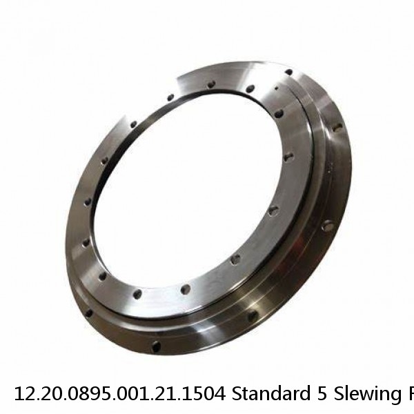 12.20.0895.001.21.1504 Standard 5 Slewing Ring Bearings